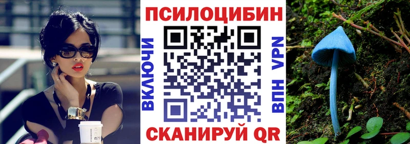 Галлюциногенные грибы мухоморы  Кологрив 